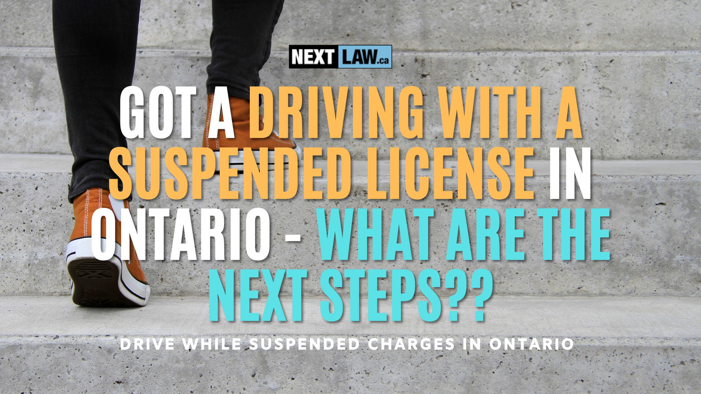 got a driving with a suspended license in Ontario - what are the next steps