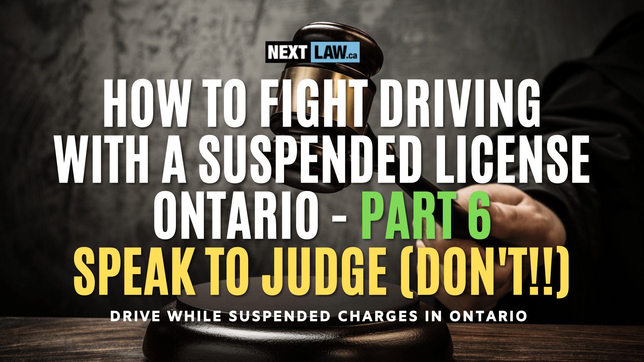 How to fight driving with a suspended license Ontario Part 6 Talk to